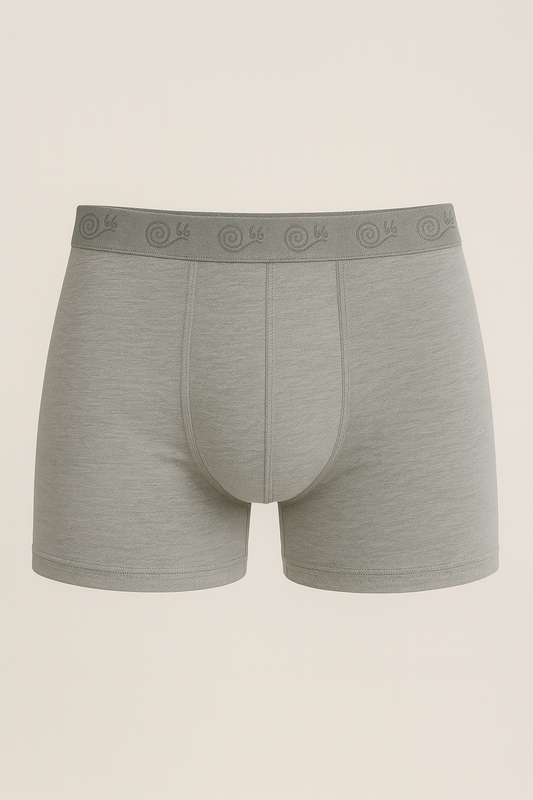 Grauer Boxer